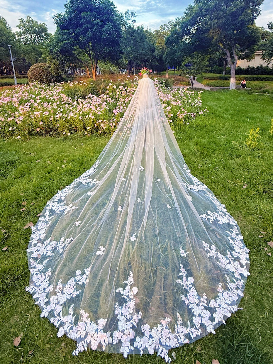 Cathedral Wedding Veil: Complete Guide to Length, Style & Matching