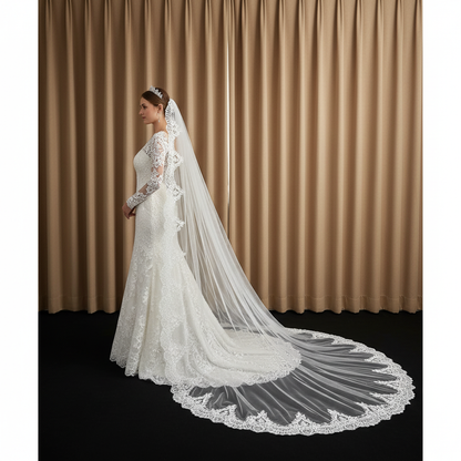 Lunar Ray Cathedral Wedding Veil with Comb