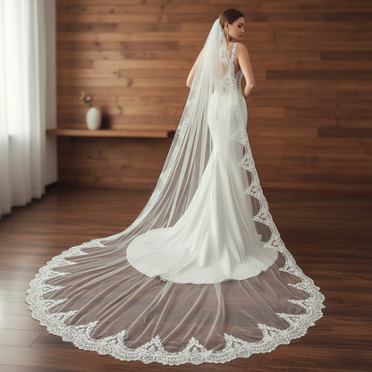 Lunar Ray Cathedral Wedding Veil with Comb