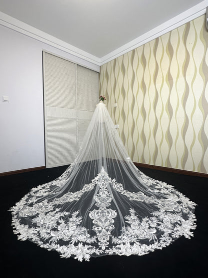 Symmetrischer floral bestickter Kathedralen-Brautschleier